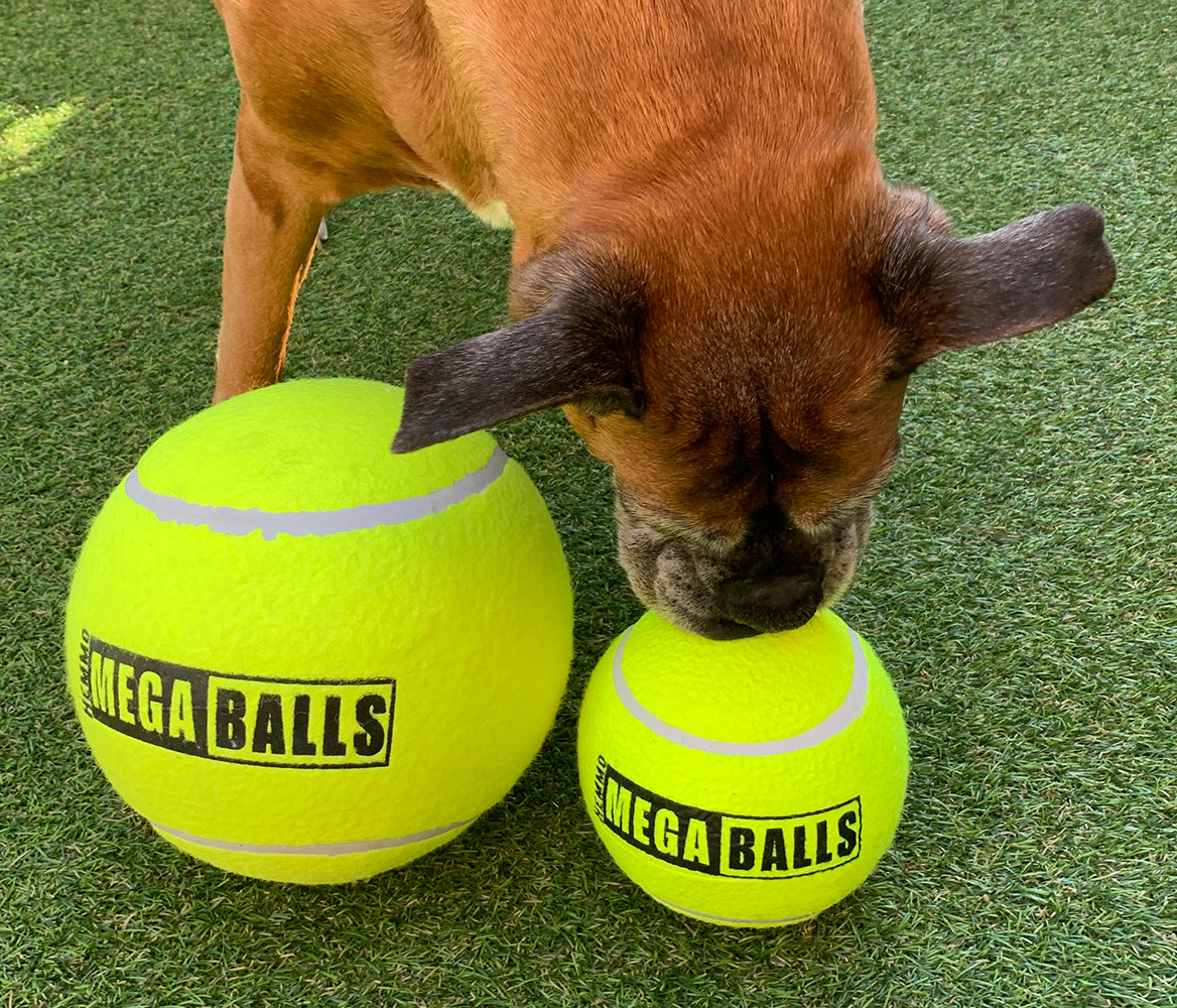 Hem & Boo Mega Ball 9"