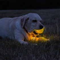 Ancol Rechargeable LED Ball Yellow
