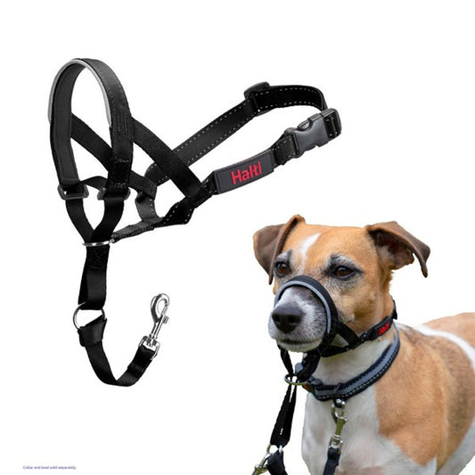 Company of Animals Halti Headcollar