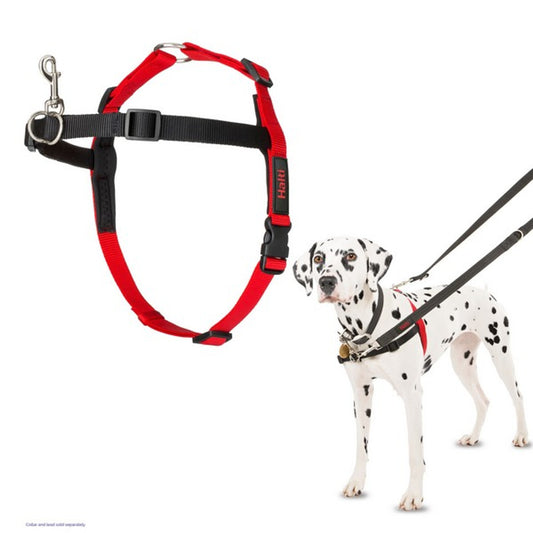 Company of Animals Front Control Harness