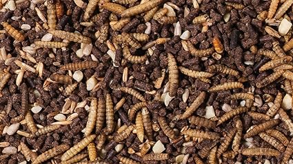 Johnston & Jeff Hedgehog Mix 1.2kg