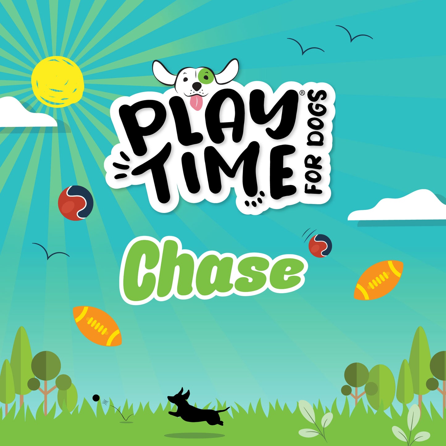 Ancol Playtime Chase Tough Rubber Ball