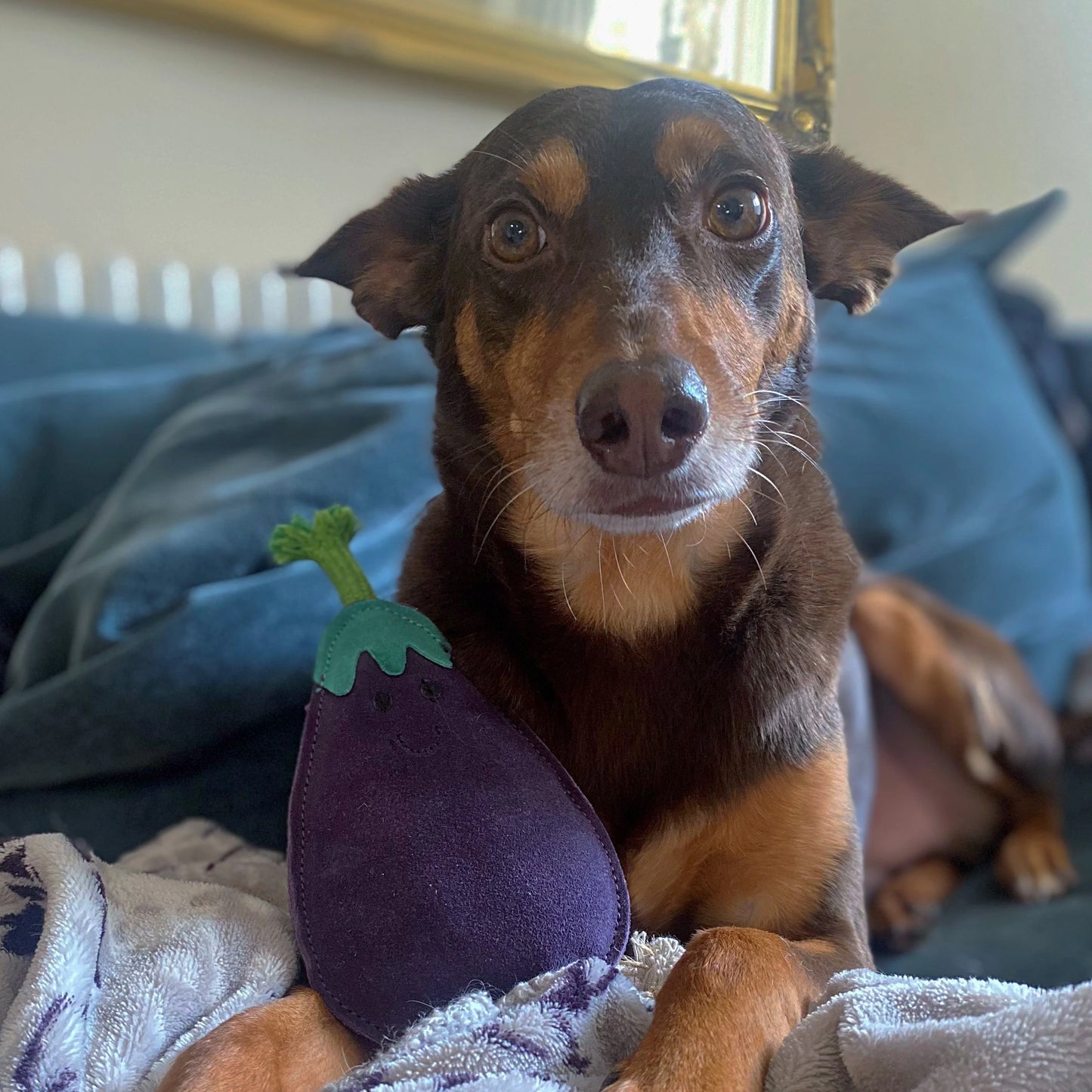 Green and Wilds Austin the Aubergine Eco Toy