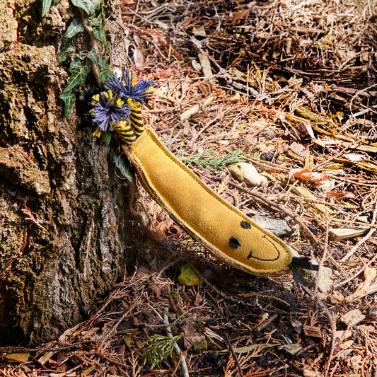 Green and Wilds Barry the Banana Eco Toy