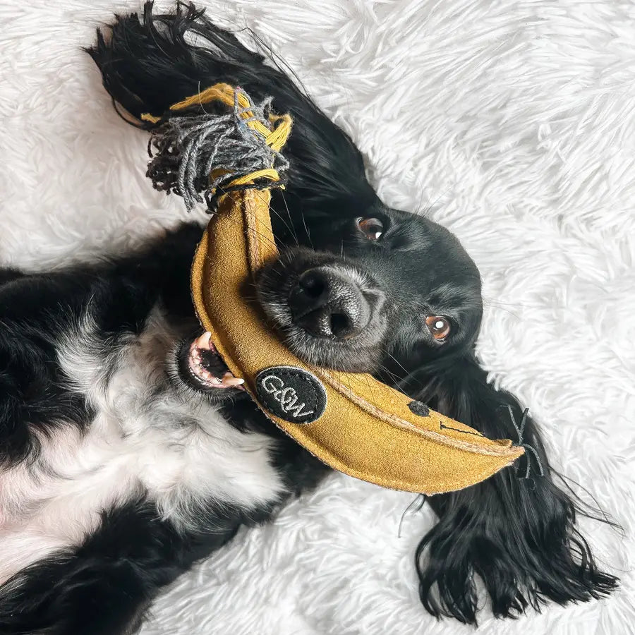 Green and Wilds Barry the Banana Eco Toy