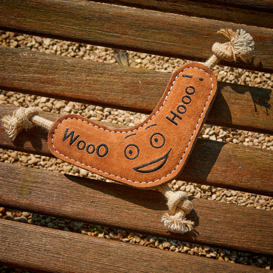 Green and Wilds Benny the Boomerang Eco Toy
