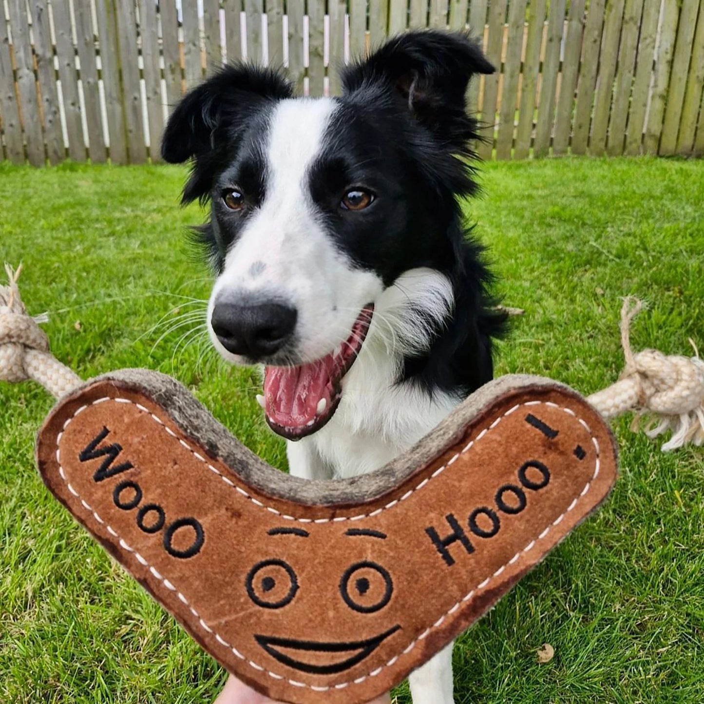Green and Wilds Benny the Boomerang Eco Toy