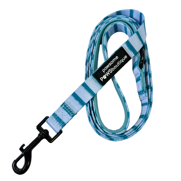 Pawsome Paws Boutique Blue Stripe Lead