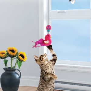 KONG Connects Window Teaser Interactive Cat Toy