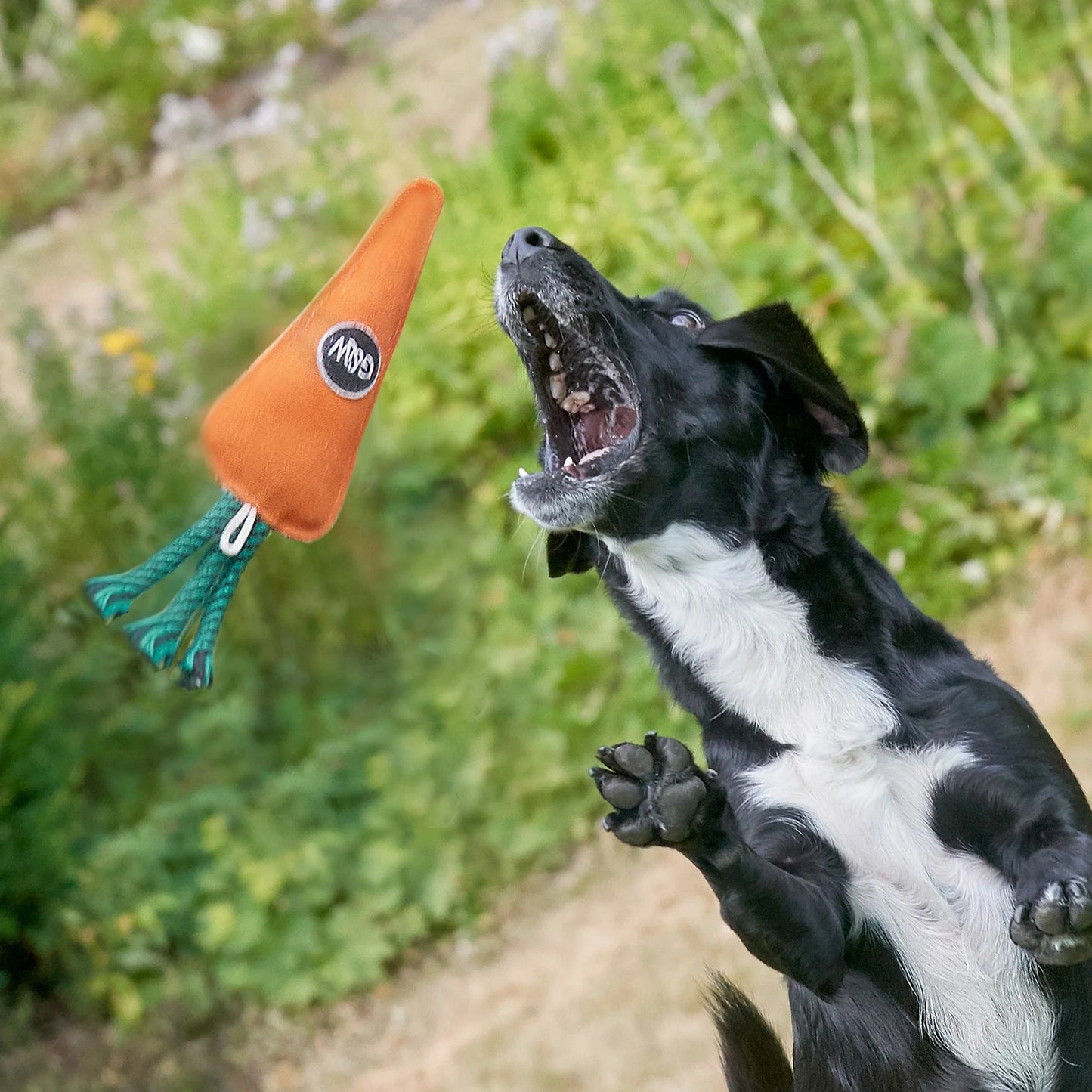 Green and Wilds Candice the Carrot Eco Toy