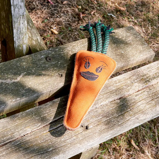 Green and Wilds Candice the Carrot Eco Toy