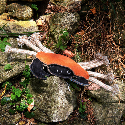 Green and Wilds Carlos the Crab Eco Toy