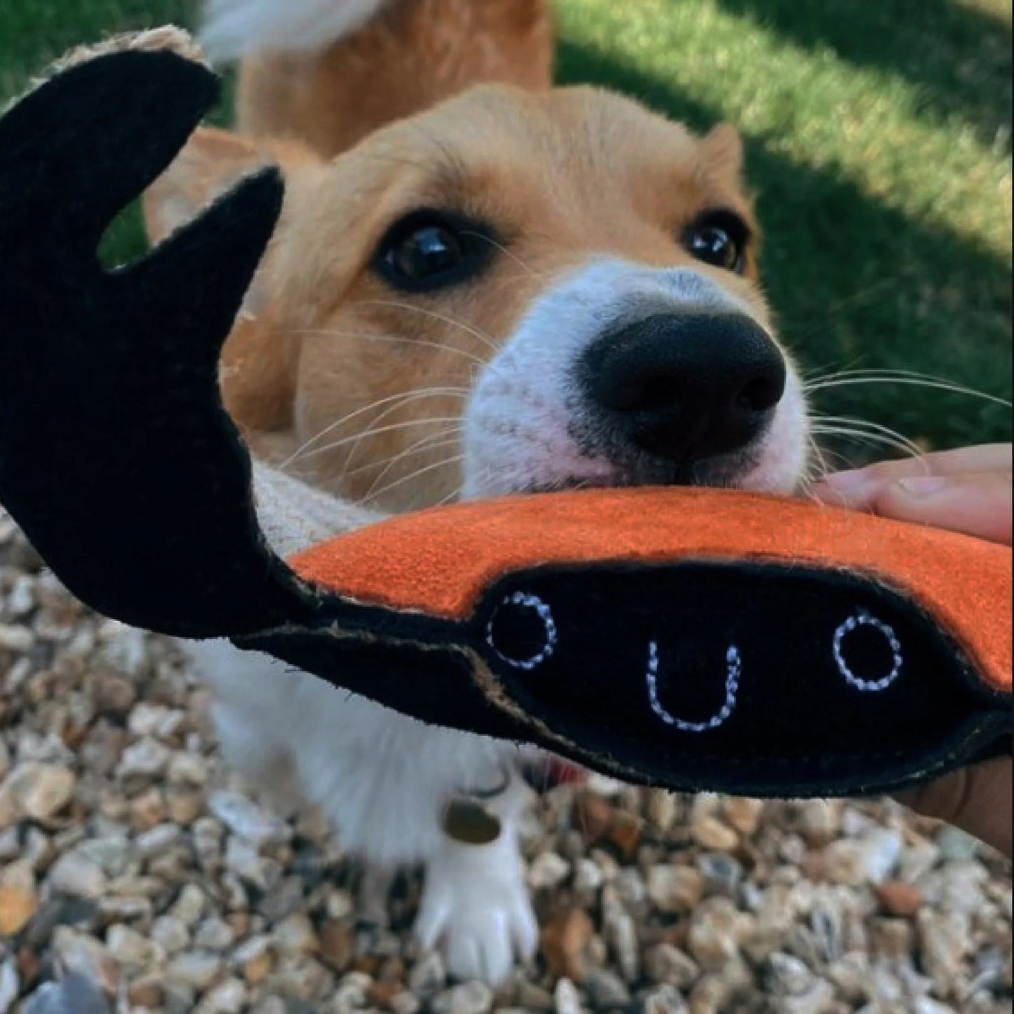 Green and Wilds Carlos the Crab Eco Toy