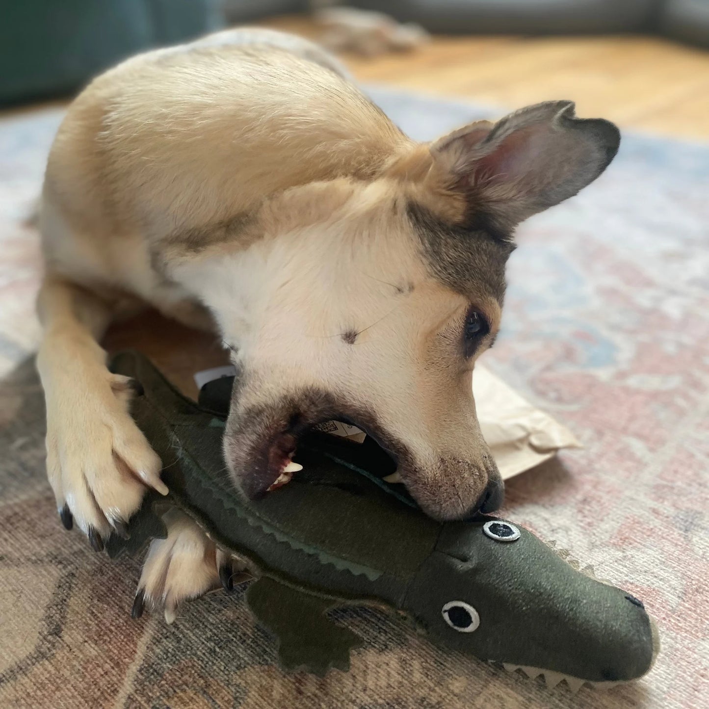 Green and Wilds Colin the Crocodile Eco Toy