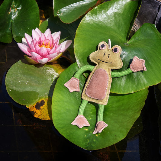 Green and Wilds Francois Le Frog Eco Toy