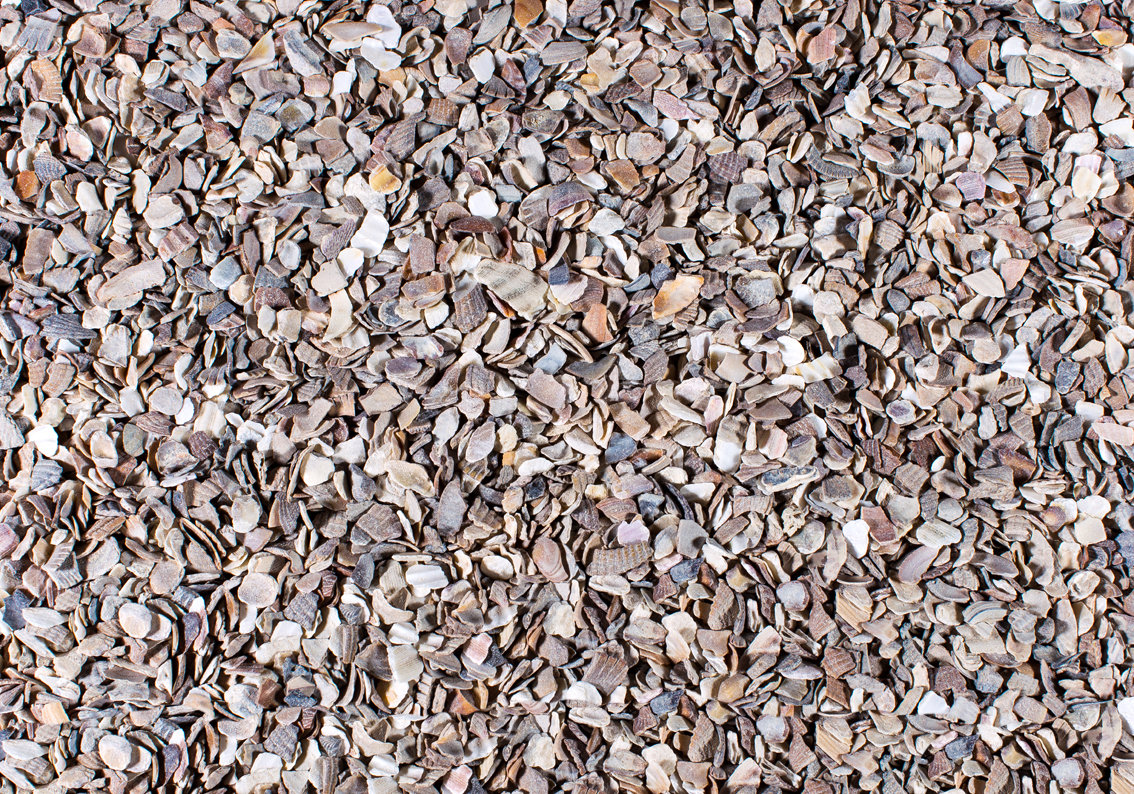 Johnston & Jeff Hen Size Oyster Shell 25kg