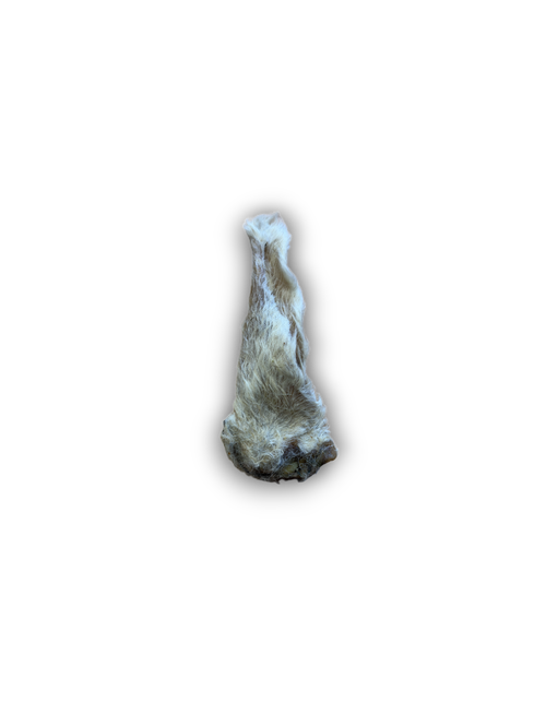 Anco Hairy Lamb Ear