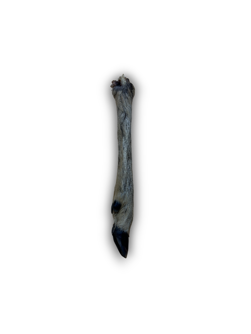 Anco Hairy Roe Deer Leg