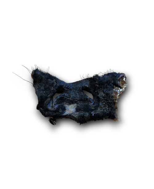 Anco Hairy Bully Snout (Small)