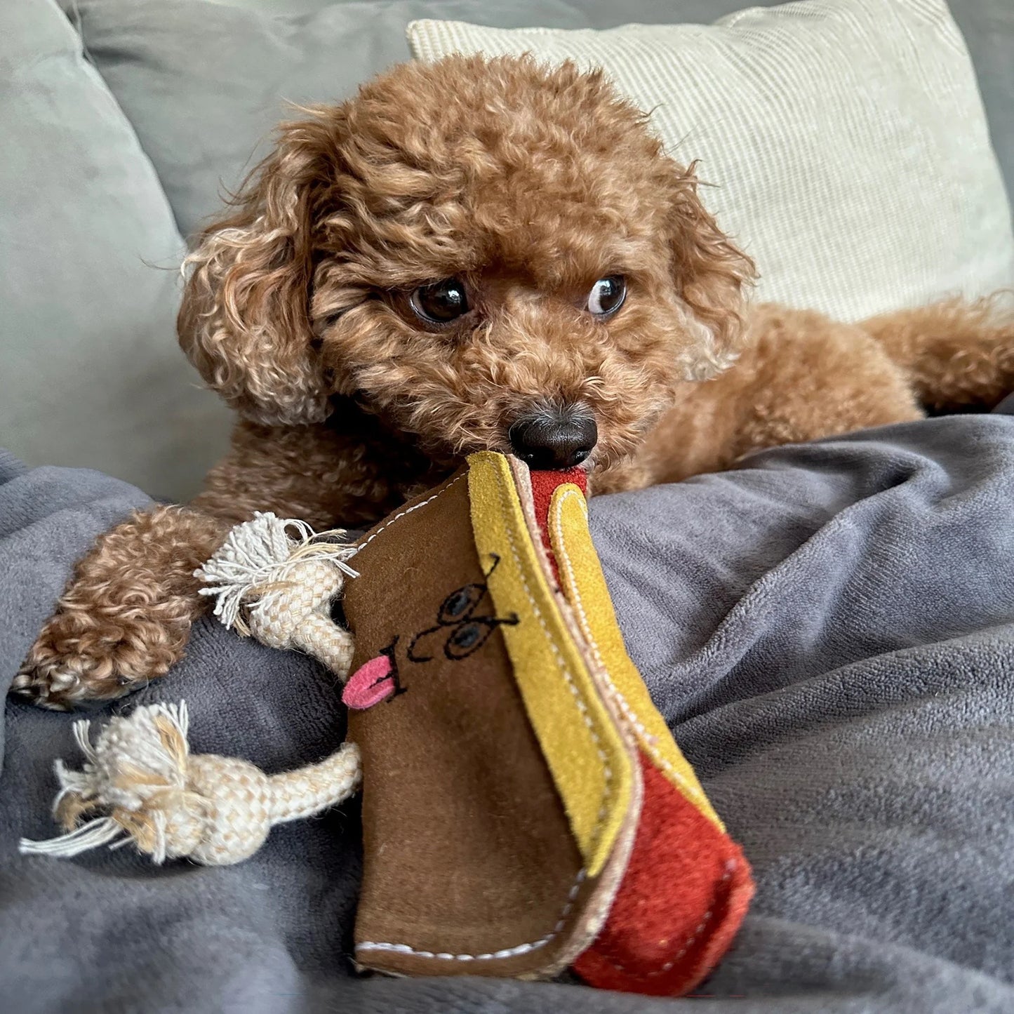 Green and Wilds Harry the Hot Dog Eco Toy