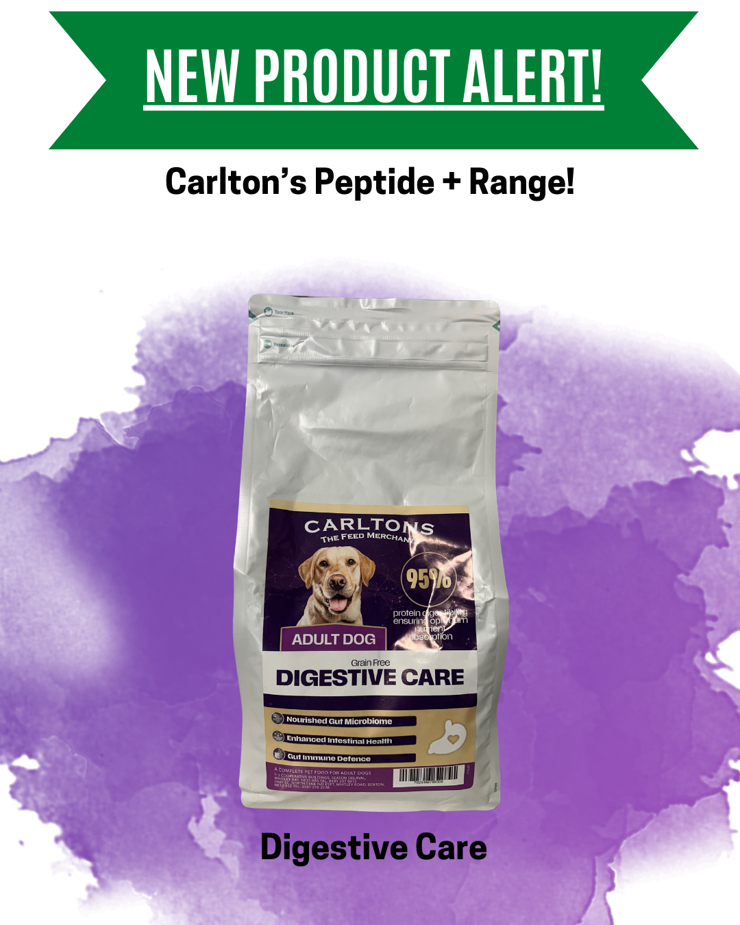 Carlton's Peptide+ Digestive Care 10kg