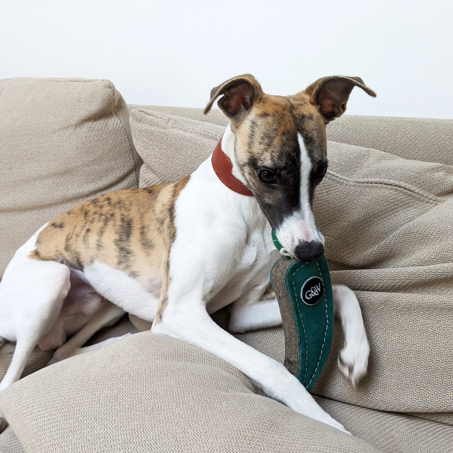 Green and Wilds Juan the Jalapeno Eco Toy