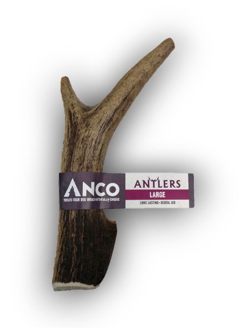 Anco Standard Antler