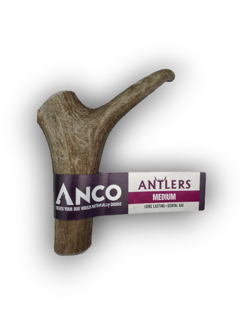 Anco Standard Antler