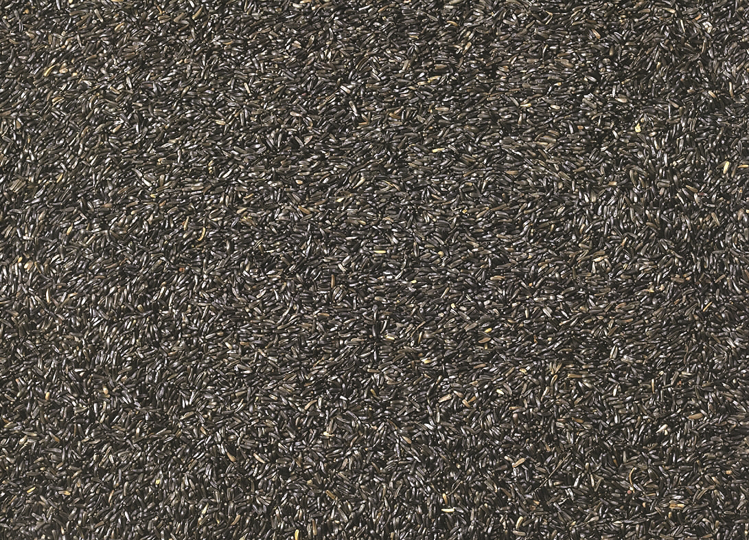 Johnston & Jeff Niger Seed 12.75kg