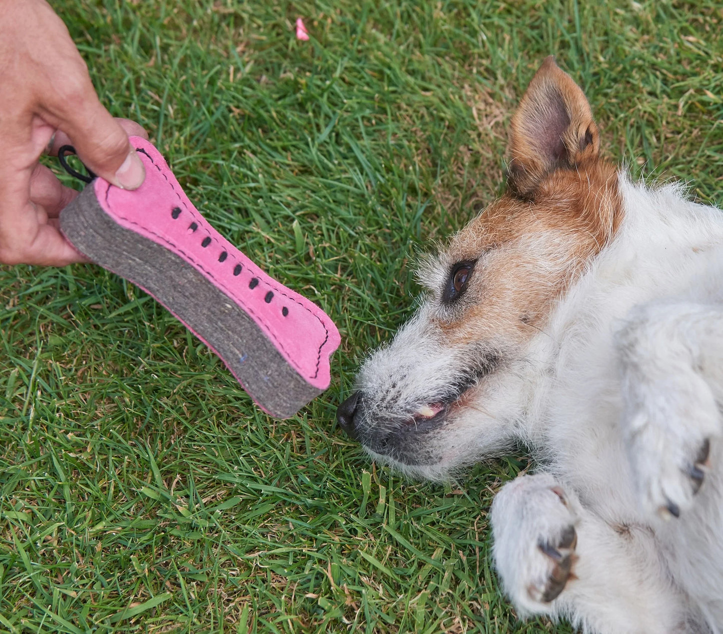 Green and Wilds Pinkie Bone Eco Toy