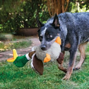 KONG Shakers Honkers Duck Squeaky Tug Dog Toy - Small
