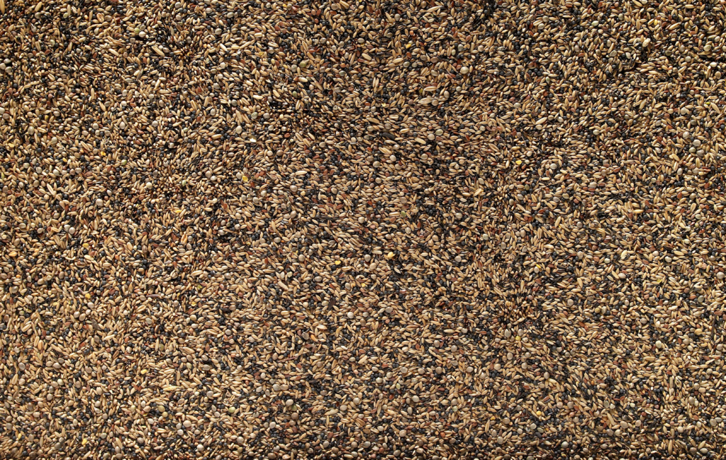 Johnston & Jeff British Finch Seed 20kg