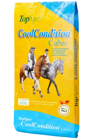 TopSpec Cool Condition Cubes