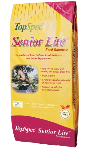 TopSpec Senior Lite Balancer