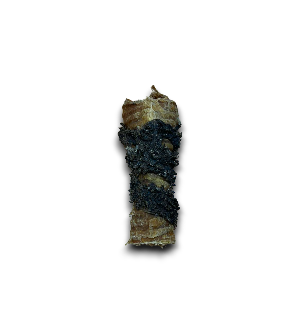 Anco Tripe Wrapped Bully Tube