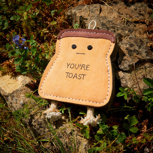 Green and Wilds You're Toast Eco Toy