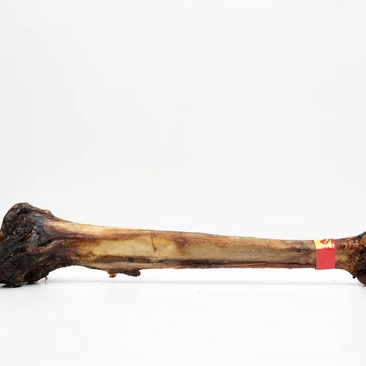 Smoked Ostrich Caveman Bone