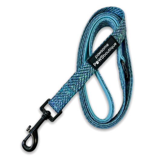Pawsome Paws Boutique Country Teal Lead