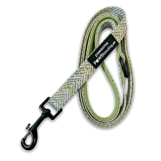 Pawsome Paws Boutique Country Thyme Lead