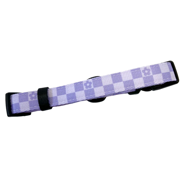 Pawsome Paws Boutique Flower Check Collar