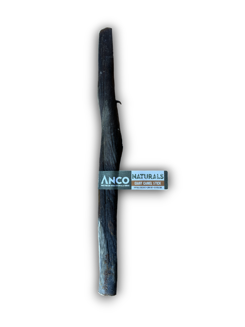 Anco Giant Camel Stick