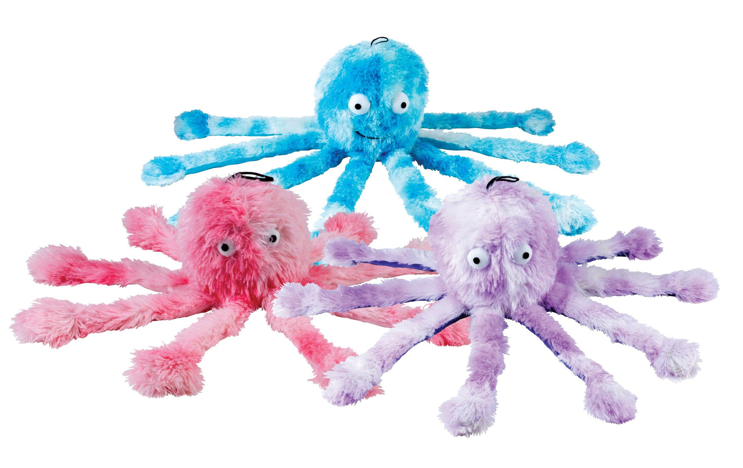 Gor Reef Baby Octopus