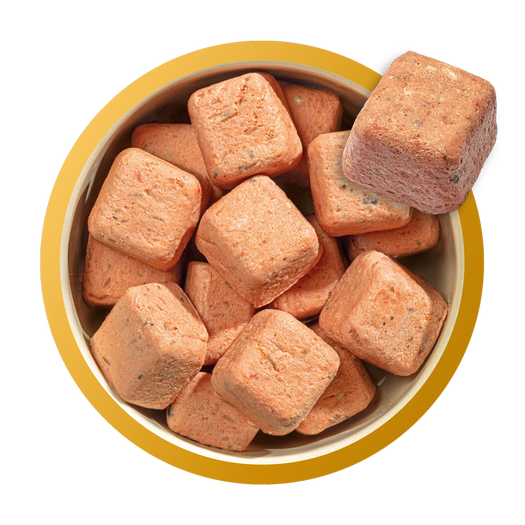 Natures Menu Complete & Balanced 80/20 Nuggets Puppy Chicken & Salmon 1kg