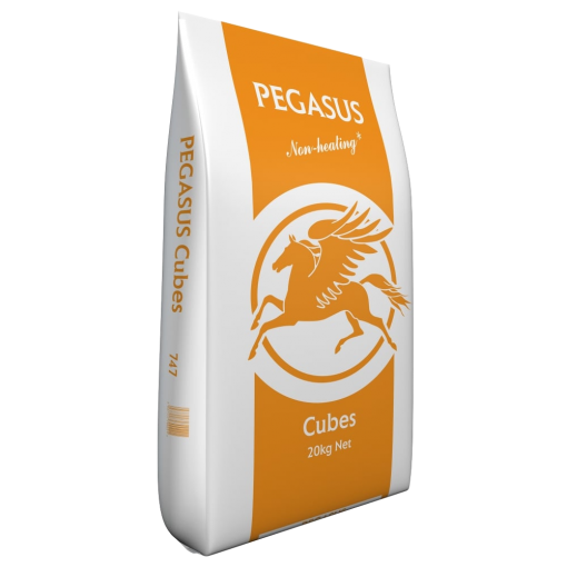 Pegasus Cubes