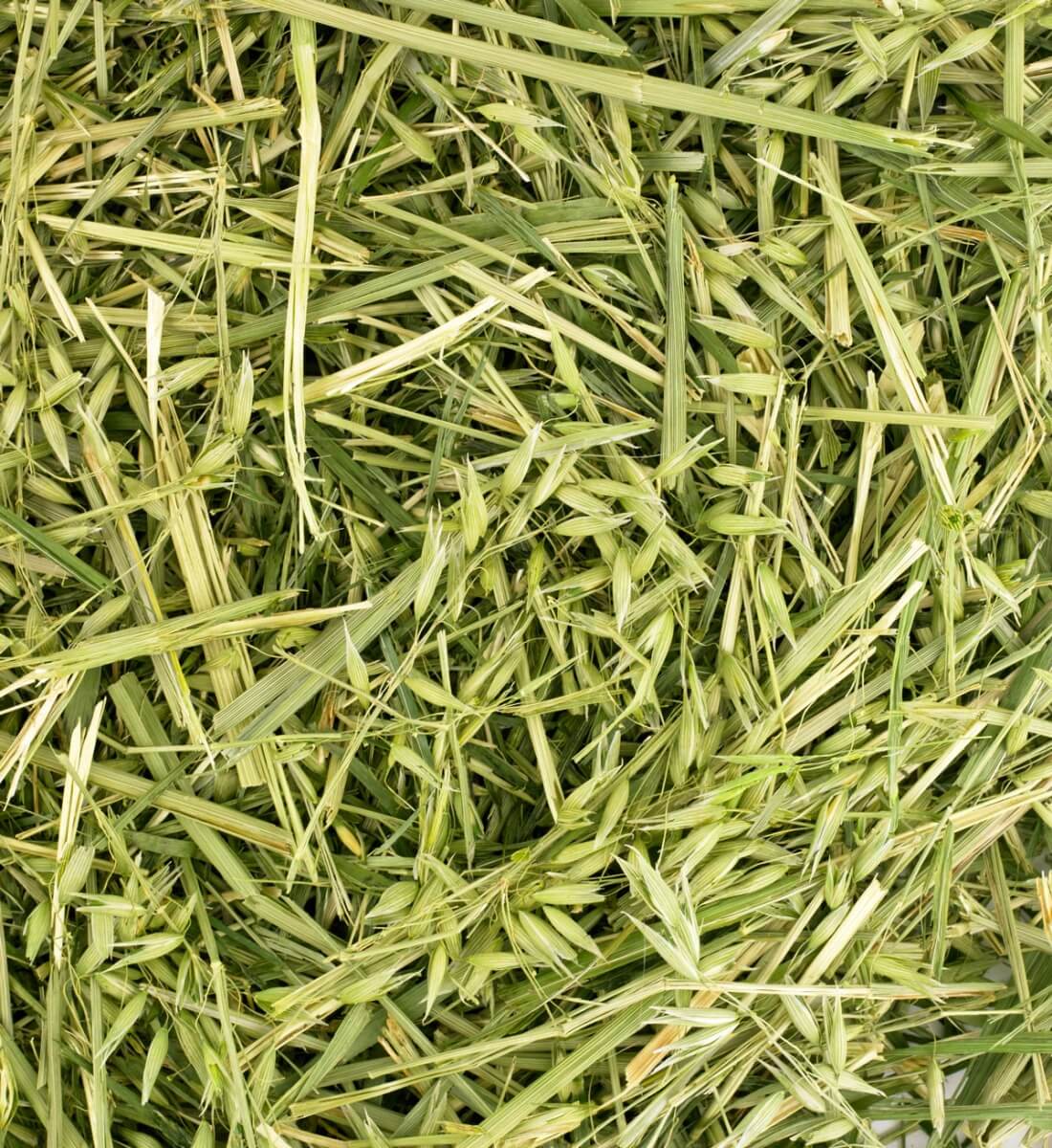 Friendly Green Oat Readigrass 1kg