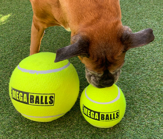 Hem & Boo Mega Ball 9"