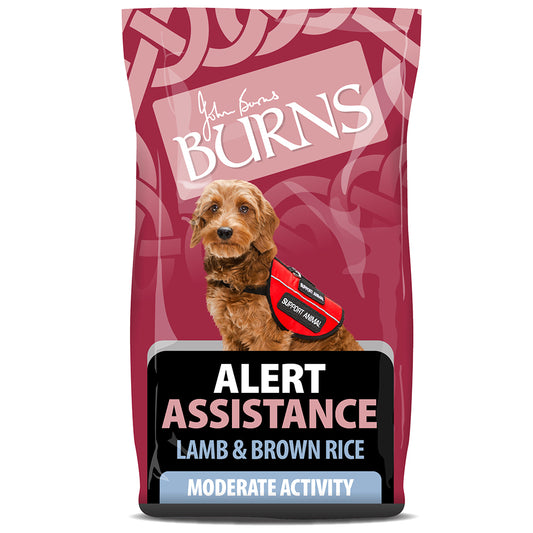 Burns Adult Alert Lamb & Rice