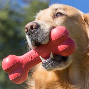 KONG Goodie Bone Treat Dispensing Dog Toy - Medium Red (18cm)