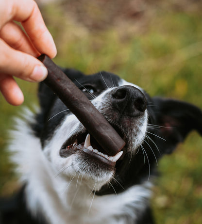 Anco Ostrich Prime Tender Sticks