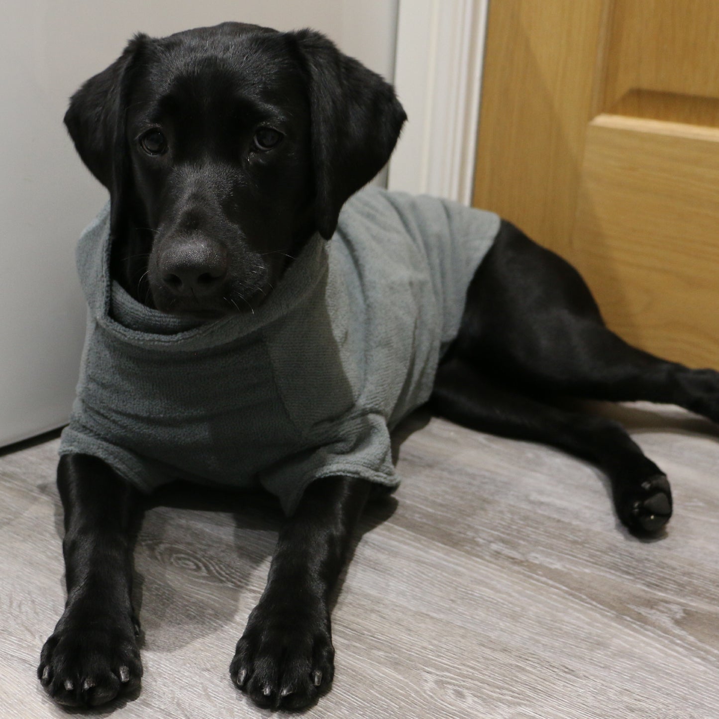 Ancol Simply Dry Deep Drying Coat 50cm